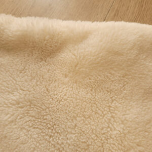 Housse de coussin « Cendrillon »